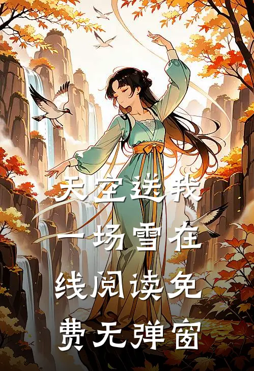 天空送我一场雪在线阅读免费无弹窗