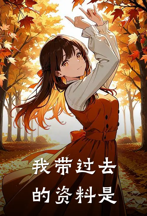 我带过去的资料是