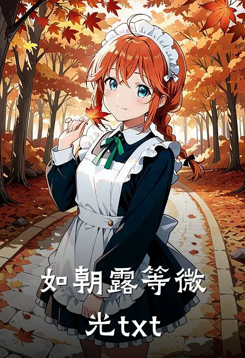 如朝露等微光txt
