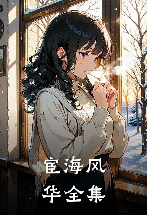 宦海风华全集