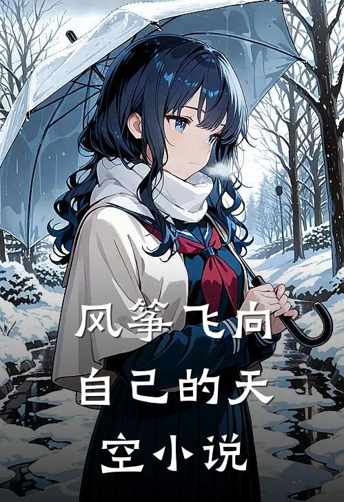 风筝飞向自己的天空小说