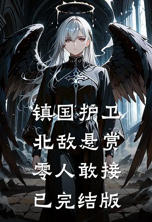 镇国护卫，北敌悬赏零人敢接已完结版