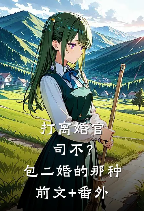 打离婚官司不？包二婚的那种前文+番外