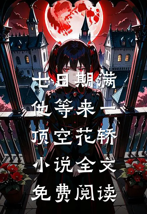 七日期满，他等来一顶空花轿小说全文免费阅读