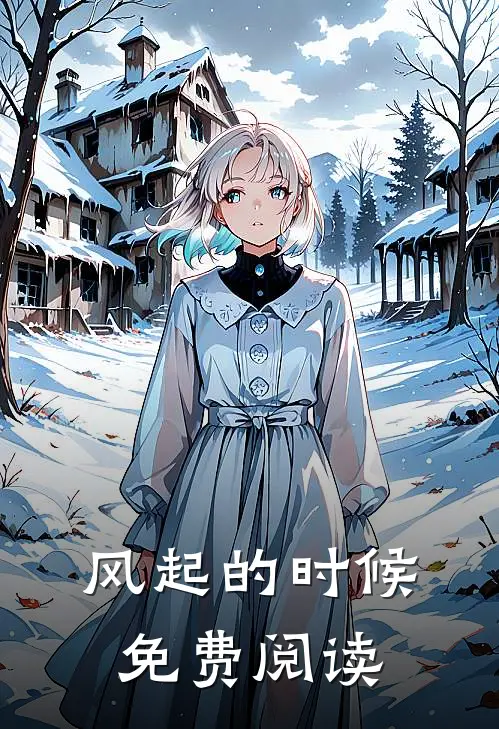 风起的时候免费阅读