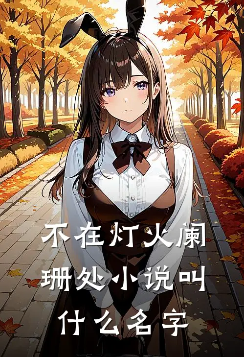 不在灯火阑珊处小说叫什么名字
