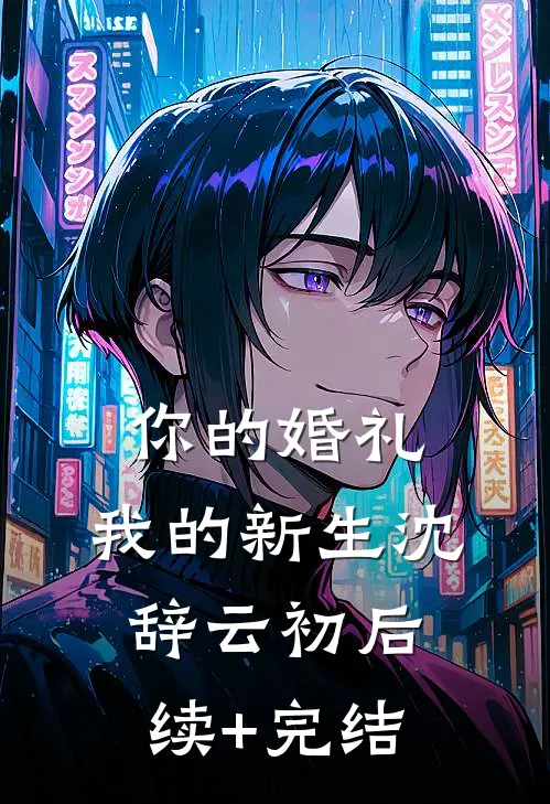 你的婚礼，我的新生沈辞云初后续+完结