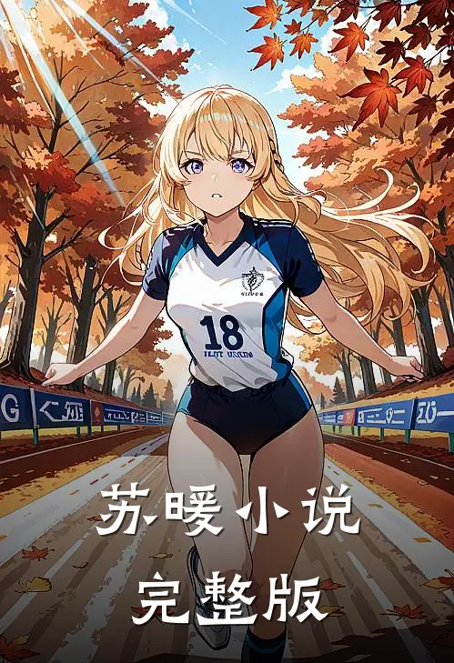 苏暖小说完整版