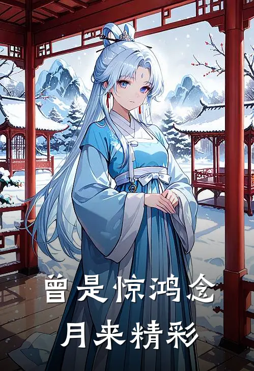 曾是惊鸿念月来精彩