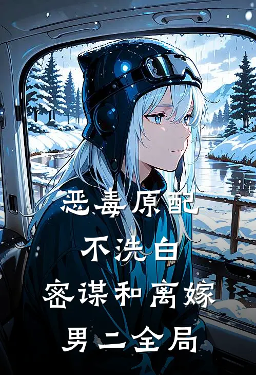 恶毒原配不洗白，密谋和离嫁男二全局