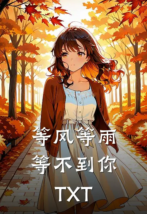 等风等雨等不到你TXT
