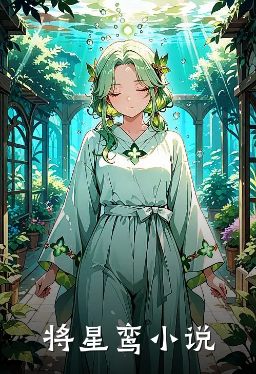 将星鸾小说