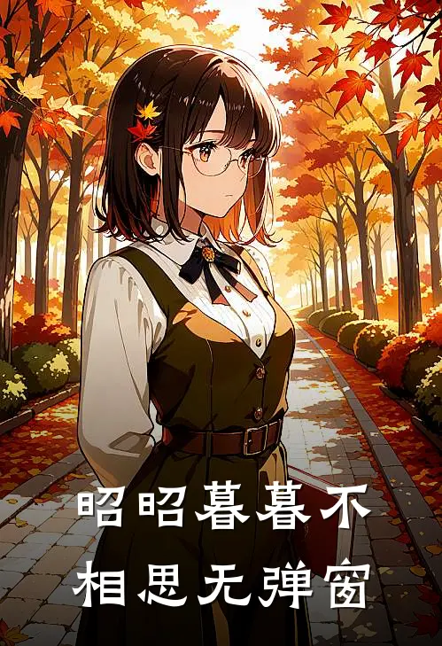 昭昭暮暮不相思无弹窗