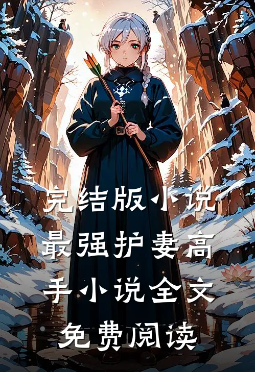 完结版小说最强护妻高手小说全文免费阅读