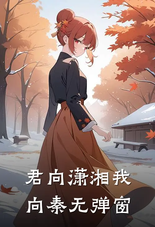 君向潇湘我向秦无弹窗
