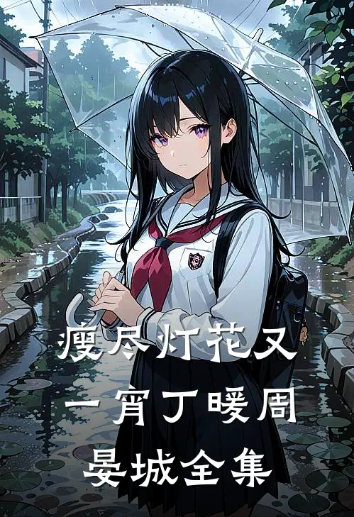 瘦尽灯花又一宵丁暖周晏城 全集
