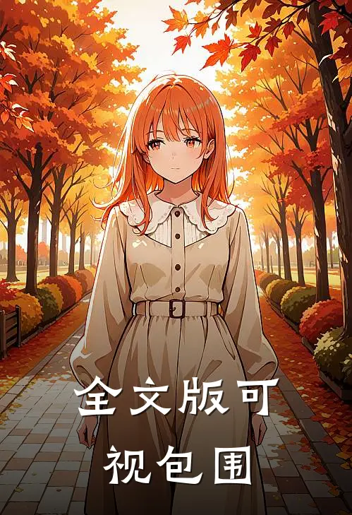 全文版可视包围