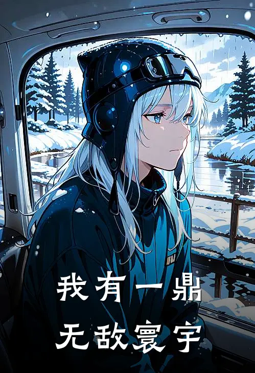 我有一鼎，无敌寰宇