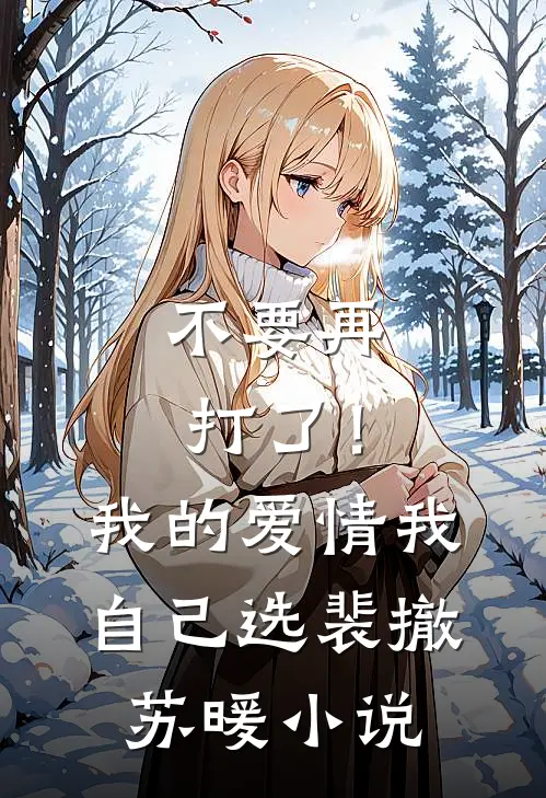 不要再打了！我的爱情我自己选裴撤苏暖小说