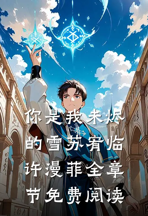 你是我未烬的雪苏宥临许漫菲全章节免费阅读