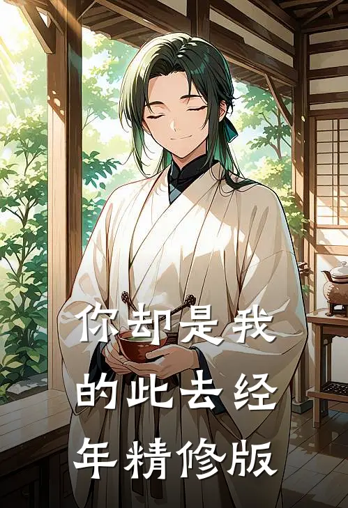 你却是我的此去经年精修版