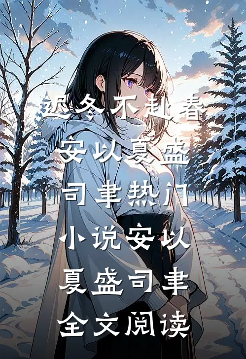迟冬不赴春安以夏盛司聿热门小说（安以夏盛司聿）全文阅读