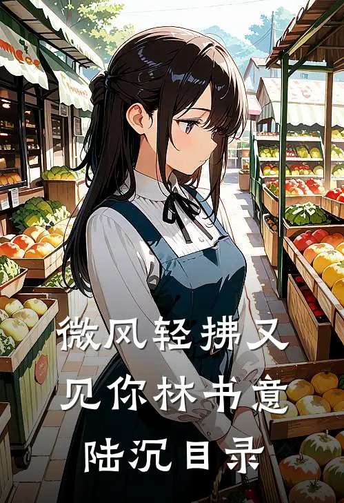 微风轻拂又见你林书意陆沉目录