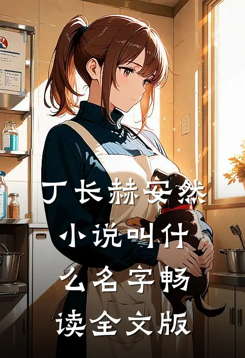 丁长赫安然小说叫什么名字畅读全文版