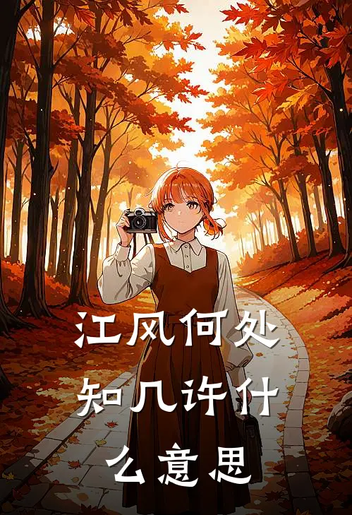 江风何处知几许什么意思