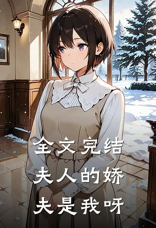 全文完结夫人的娇夫是我呀
