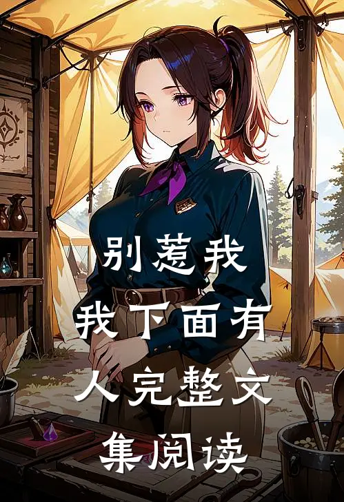 别惹我，我下面有人完整文集阅读
