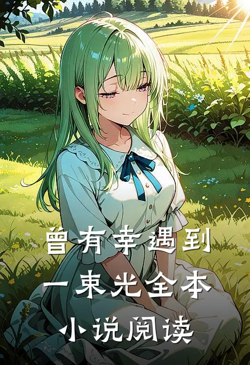 曾有幸遇到一束光全本小说阅读